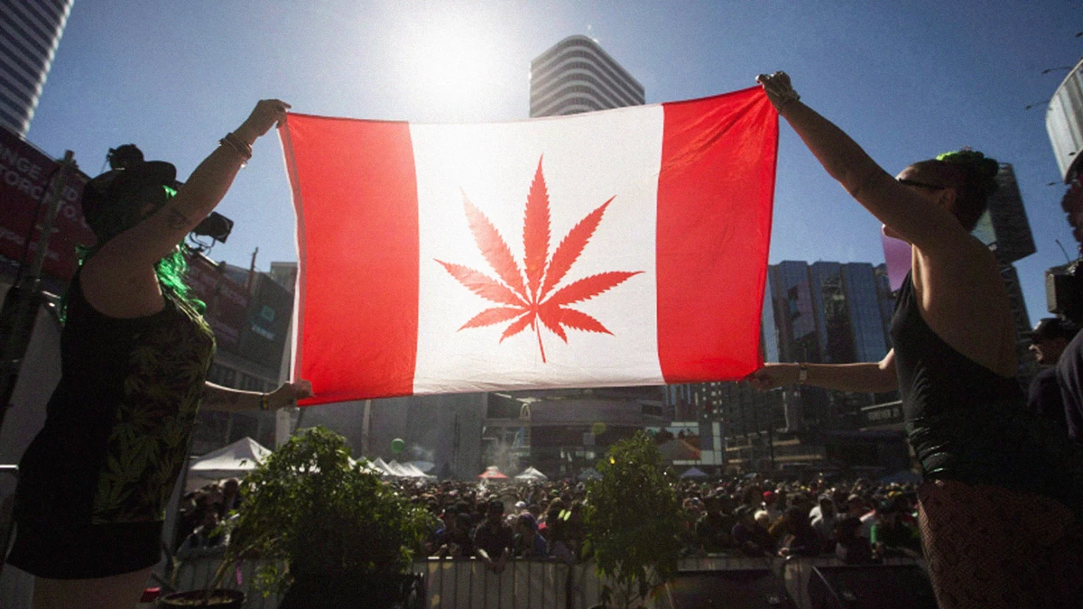 Канада легализира употребата, отглеждането и притежанието на канабис
