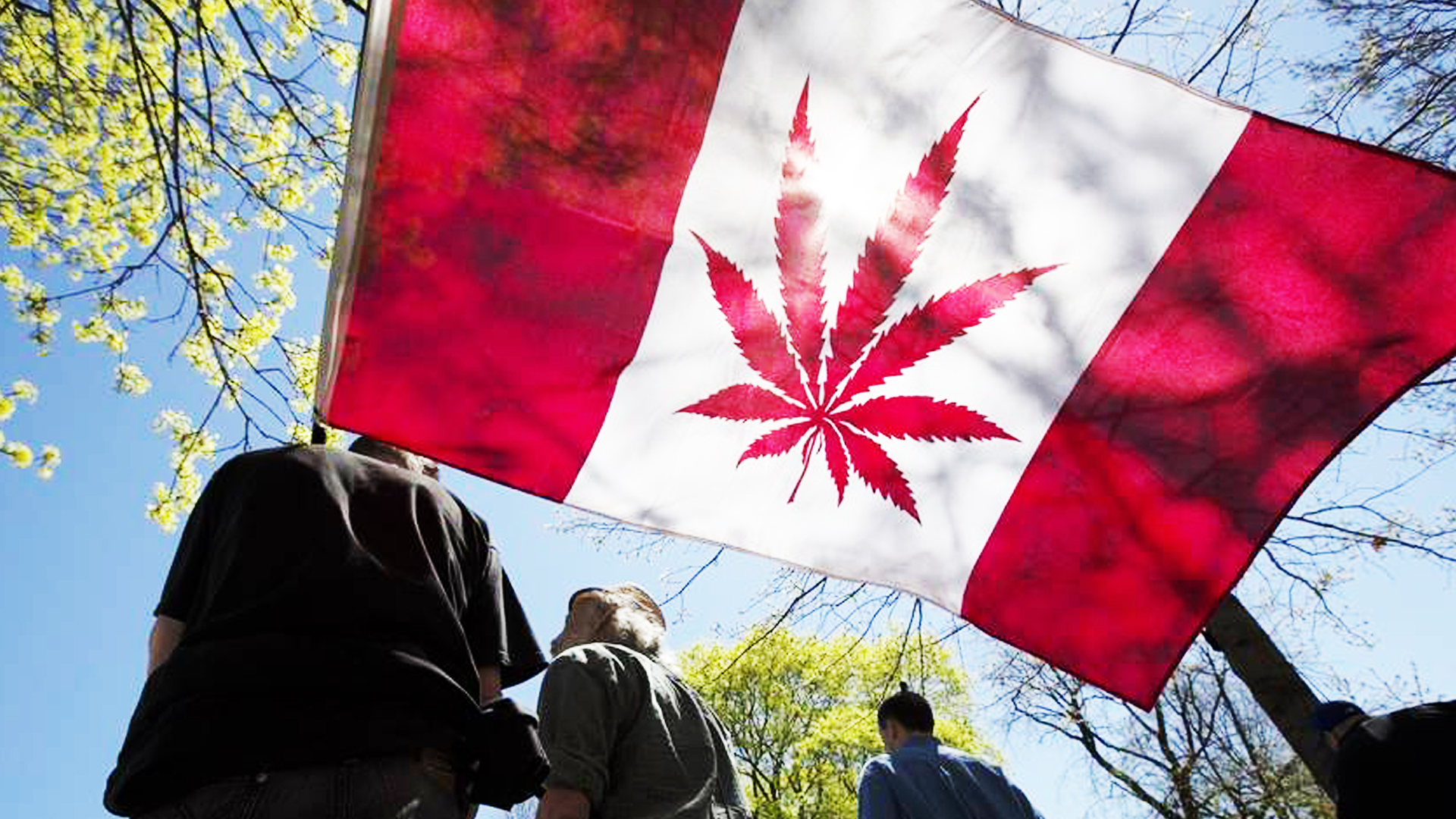 Канада легализира канабиса