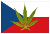 Аптеките в Чехия започват продажбата на медицинска марихуана