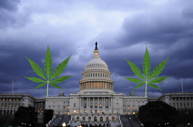 Градският съвет на Вашингтон декриминализира марихуаната