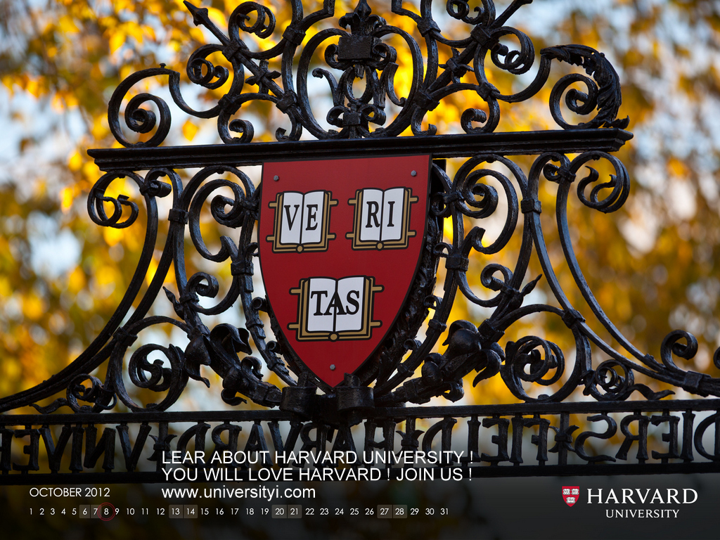 Харвардският Университет: Марихуаната лекува рак