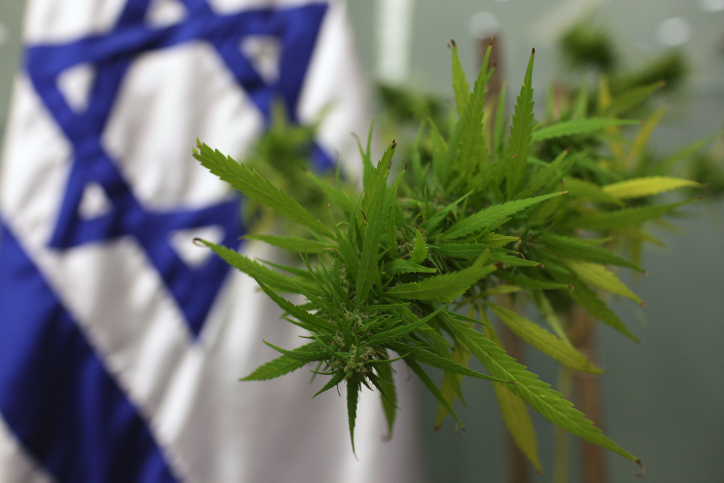 Израел предлагат пет нови сорта канабис подходящи за облекчаване на болка