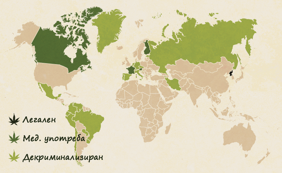 Къде канабисът е легален по света - инфографика