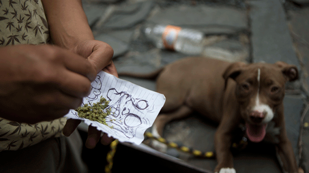 Легалната конопена индустрия в САЩ убива мексиканските наркокартели