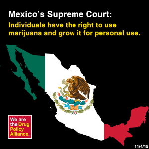 Мексико: забраната на растението канабис е противоконституционна