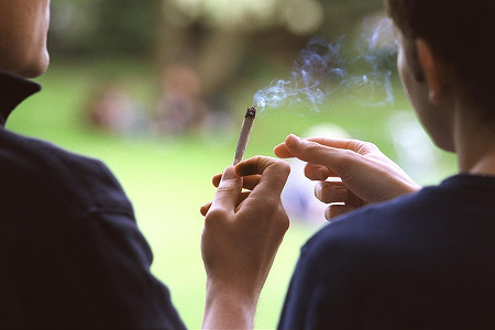 Пушенето на канабис не е свързано с рак на дробовете