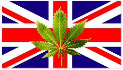 Внесено е предложение за легализация на канабиса във Великобритания
